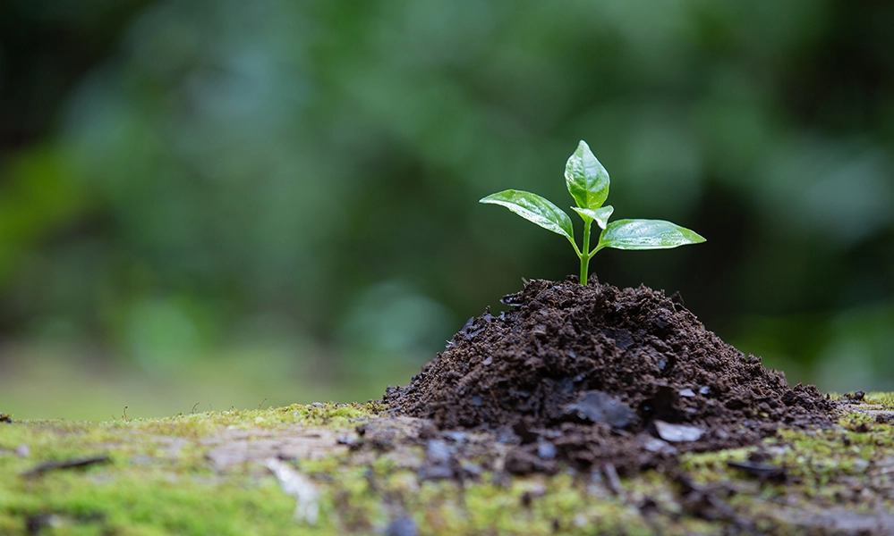 contact top banner mobile img