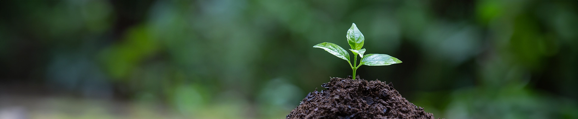 contact top banner img