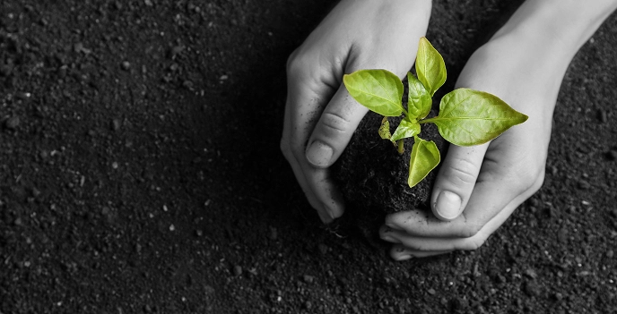 one earth left gray img