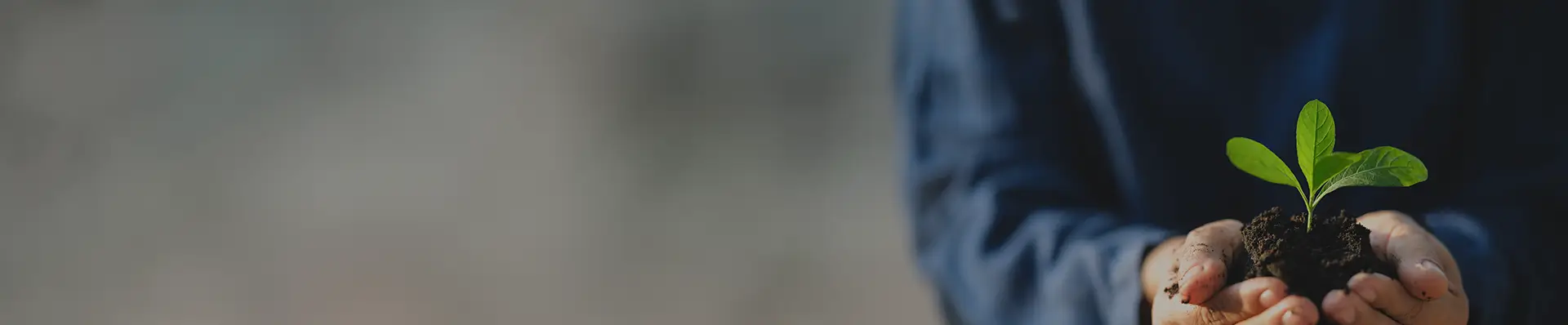 contact top banner img